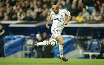 熊猫电竞焦点-中场大师永不止步